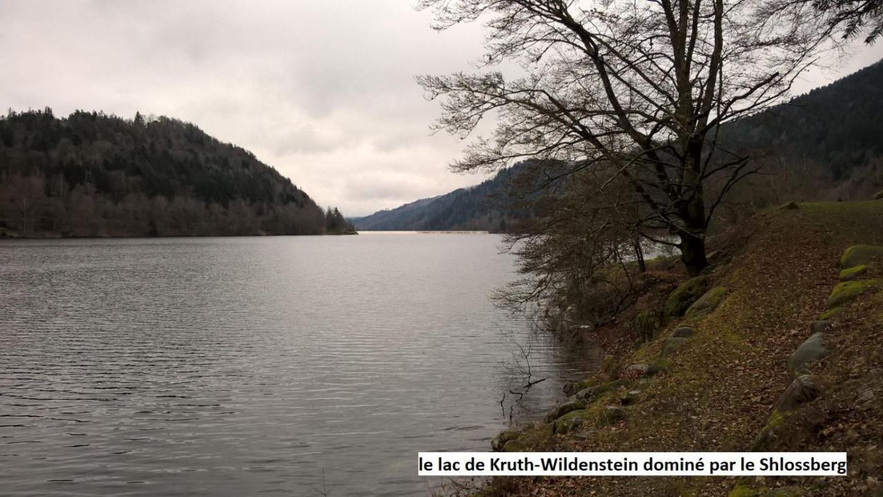 Le Chalet Bel Air Oderen Exteriör bild